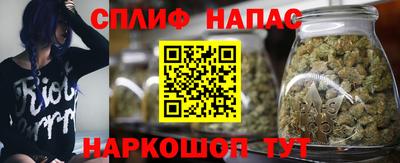 apvp Кингисепп