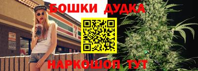 apvp Кингисепп