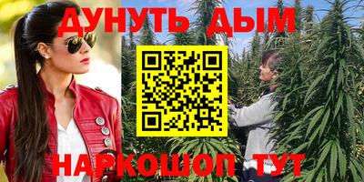 шишки Кинель